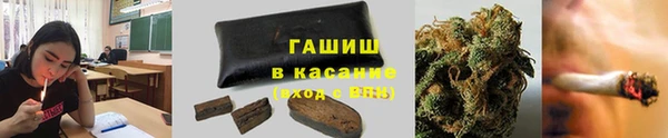 амф Мегион