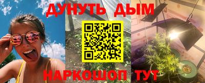 jwh Гатчина