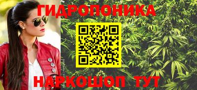 дмт Гай