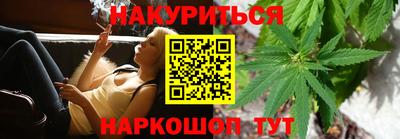 дмт Гай