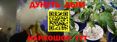 дмт Гай