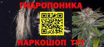 дмт Гай