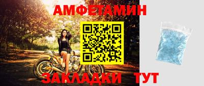 дмт Гай