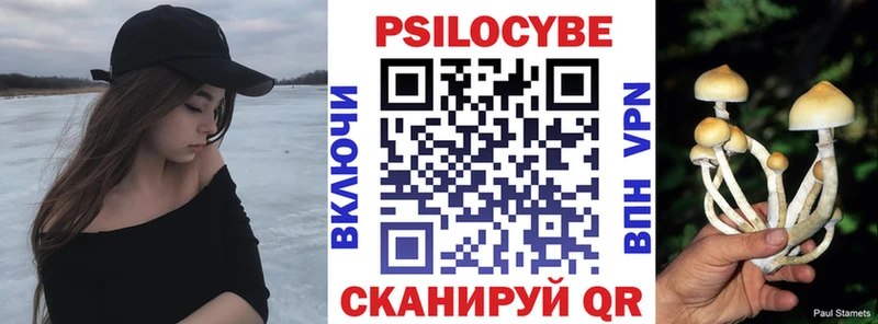 Псилоцибиновые грибы прущие грибы  что такое наркотик  Малгобек 