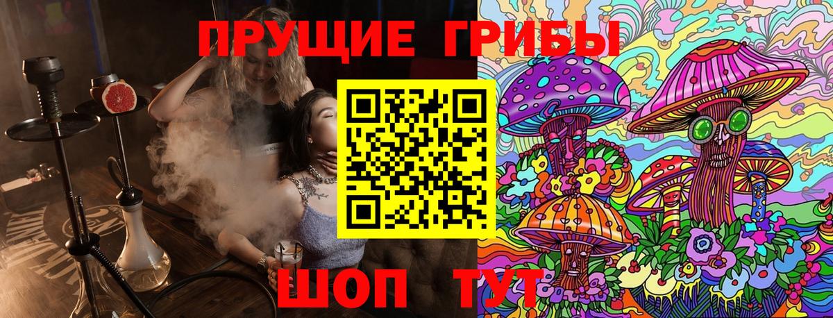 Малгобек  купить наркотик  Вход с VPN  Галлюциногенные грибы Magic Shrooms 