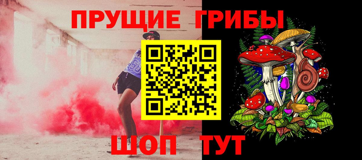 Псилоцибиновые грибы GOLDEN TEACHER Малгобек
