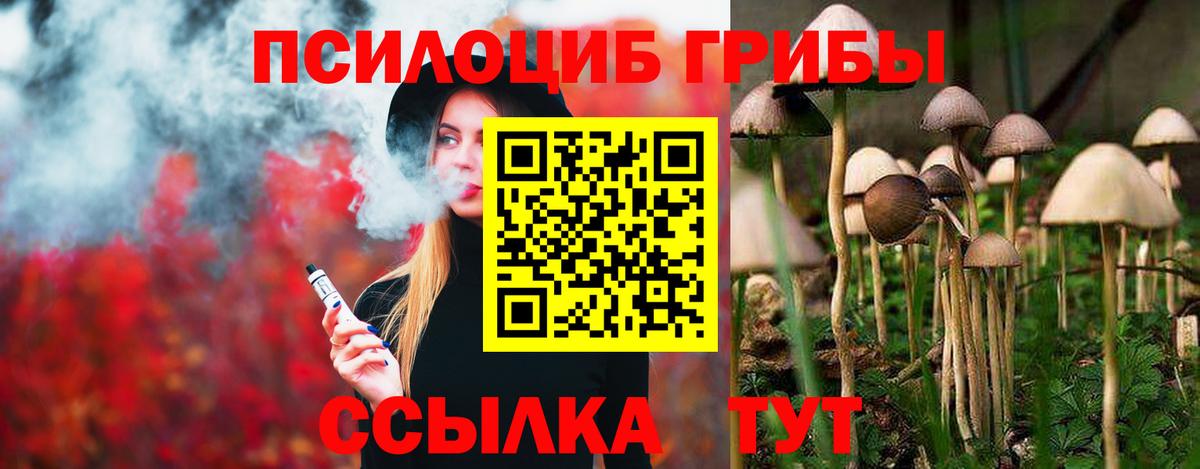Галлюциногенные грибы мицелий  Малгобек  Галлюциногенные грибы Magic Shrooms 