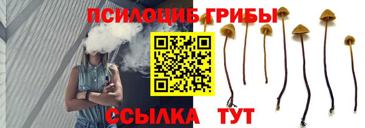 Псилоцибиновые грибы мухоморы Малгобек